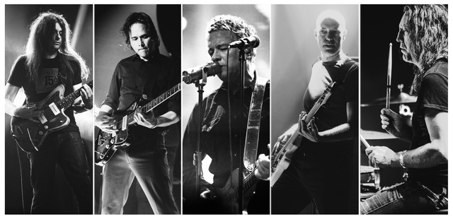 Image for Tripping Daisy