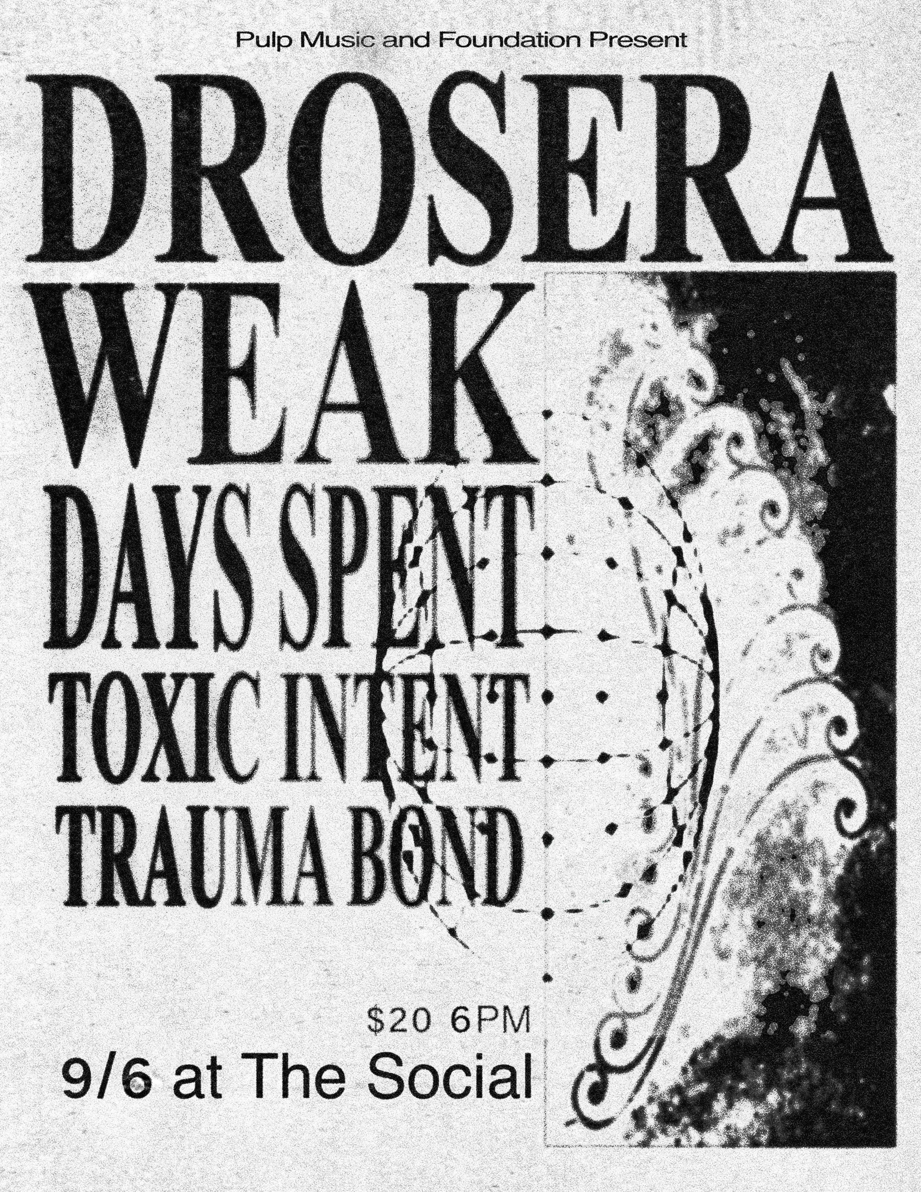 DROSERA at The Social